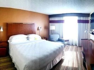 Hotel Four Points By Sheraton Greenway Plaza 3*